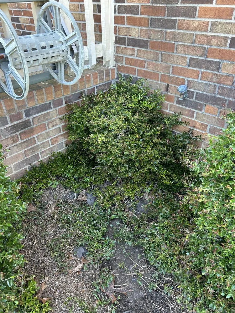 Top-rated landscape installation near you in Fayetteville, NC by Green Edge Lawn Care & Drip Clean Power Wash