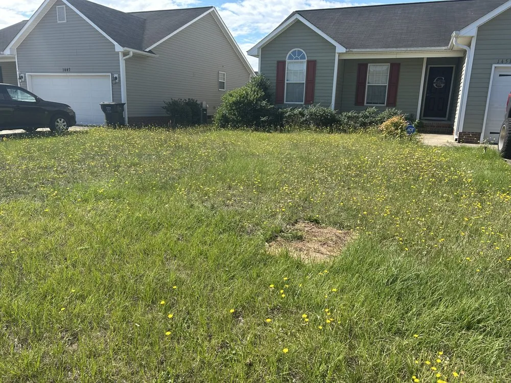 Expert yard maintenance in Fayetteville, NC by Green Edge Lawn Care & Drip Clean Power Wash