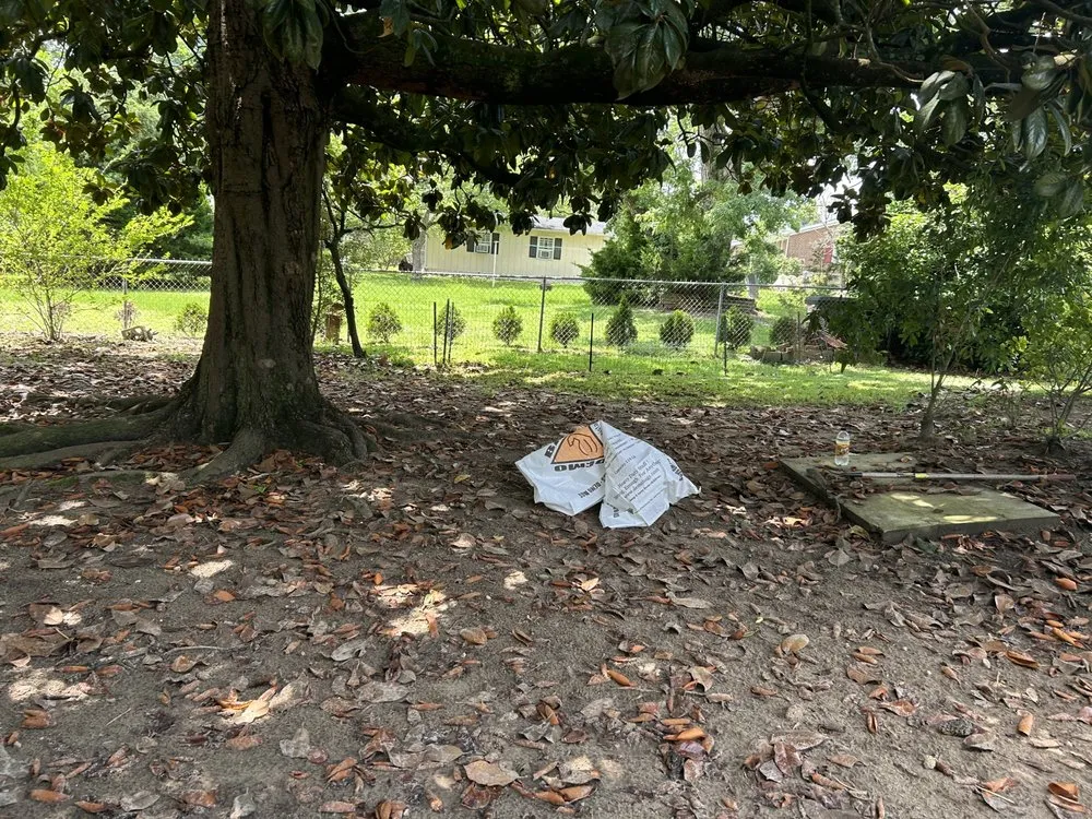 Professional landscape design near you across Fayetteville, NC - Green Edge Lawn Care & Drip Clean Power Wash