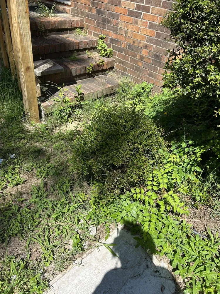 Affordable yard cleanup service with custom design across Fayetteville, NC - Green Edge Lawn Care & Drip Clean Power Wash