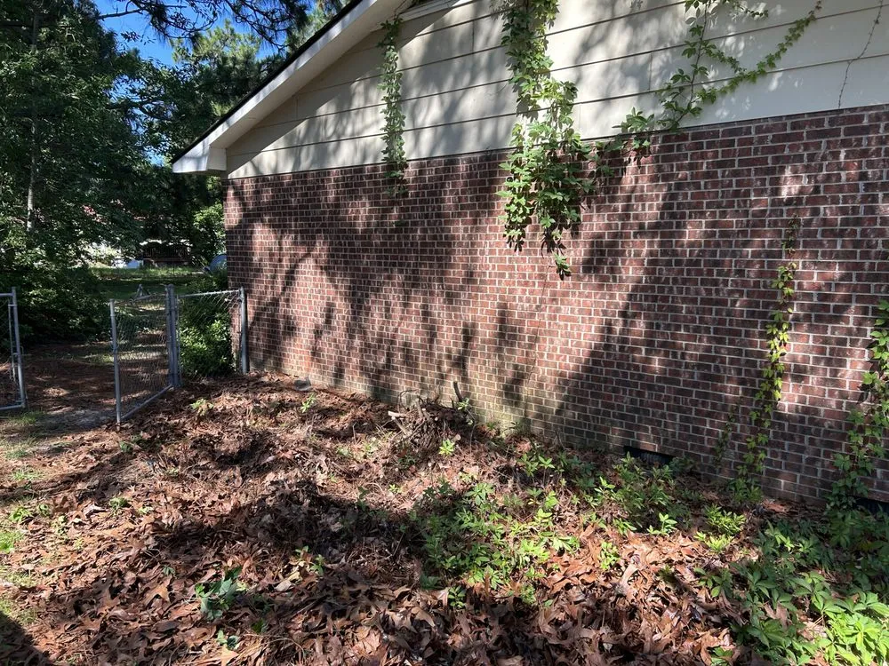 Reliable residential landscaping experts serving Fayetteville, NC - Green Edge Lawn Care & Drip Clean Power Wash