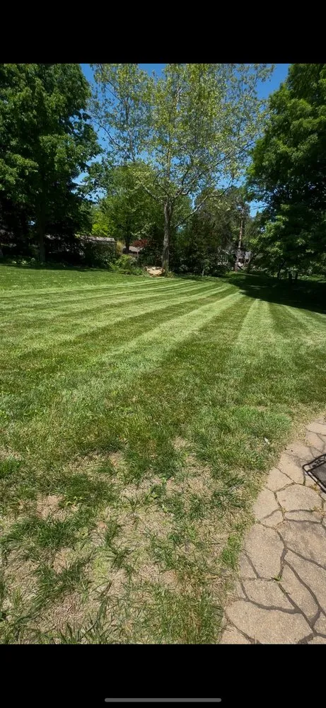 Local lawn mowing service experts serving Overland Park, KS - Green Edge Lawn Care