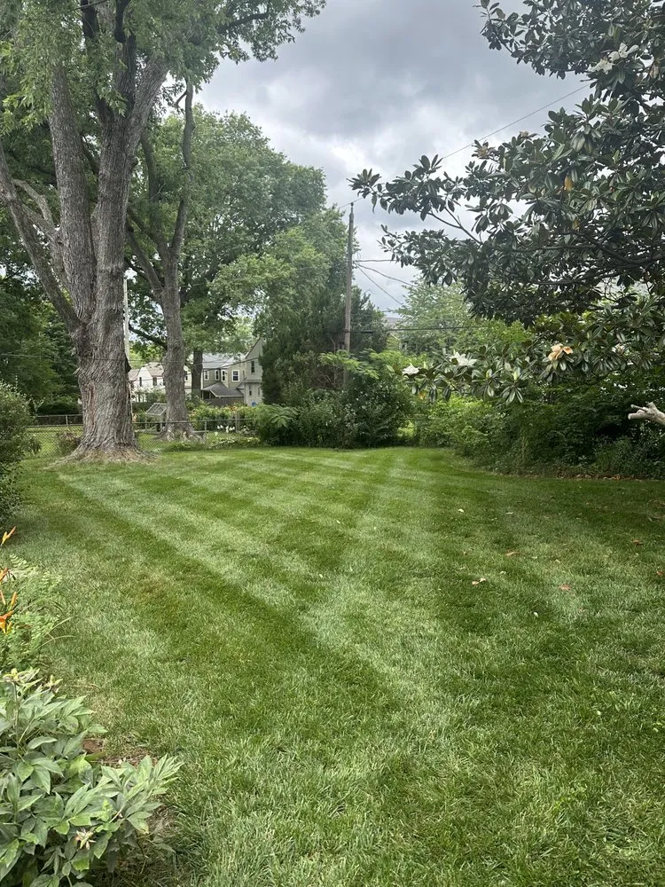 Trusted residential landscaping in Overland Park, KS by Green Edge Lawn Care
