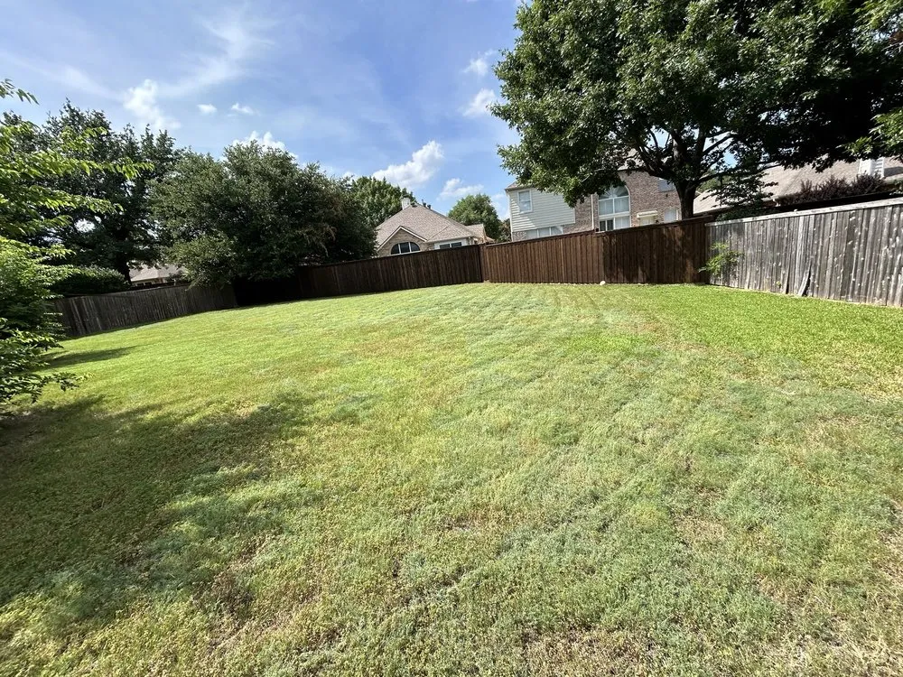 Reliable yard cleanup service experts serving Princeton, TX - Green Edge Lawn Care