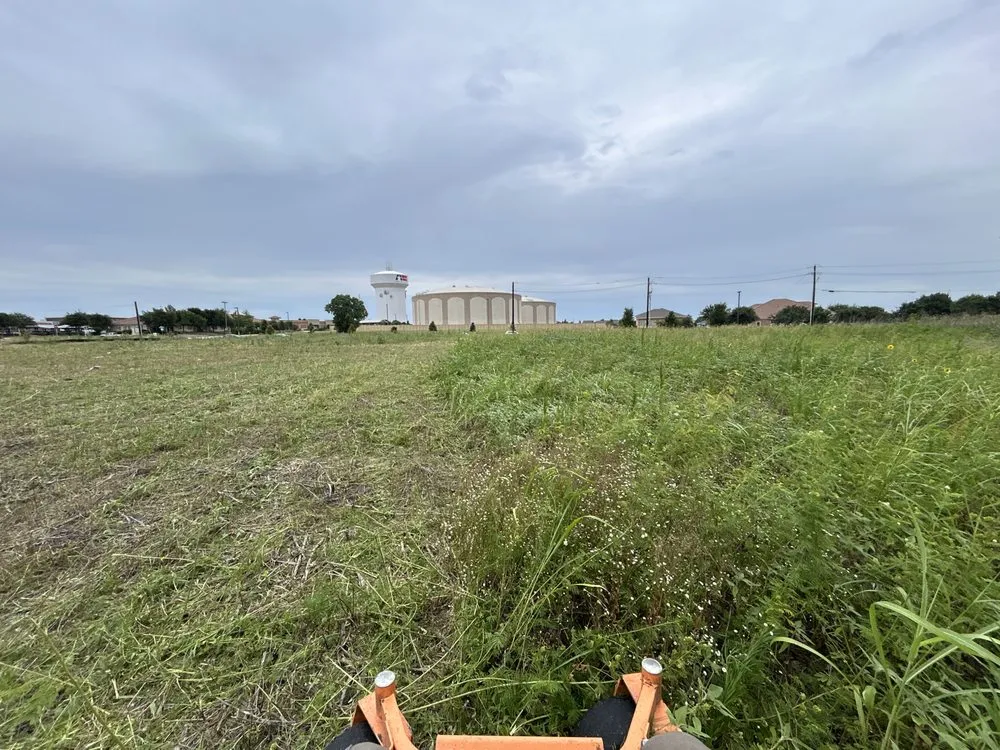 Affordable landscaping services experts serving Princeton, TX - Green Edge Lawn Care