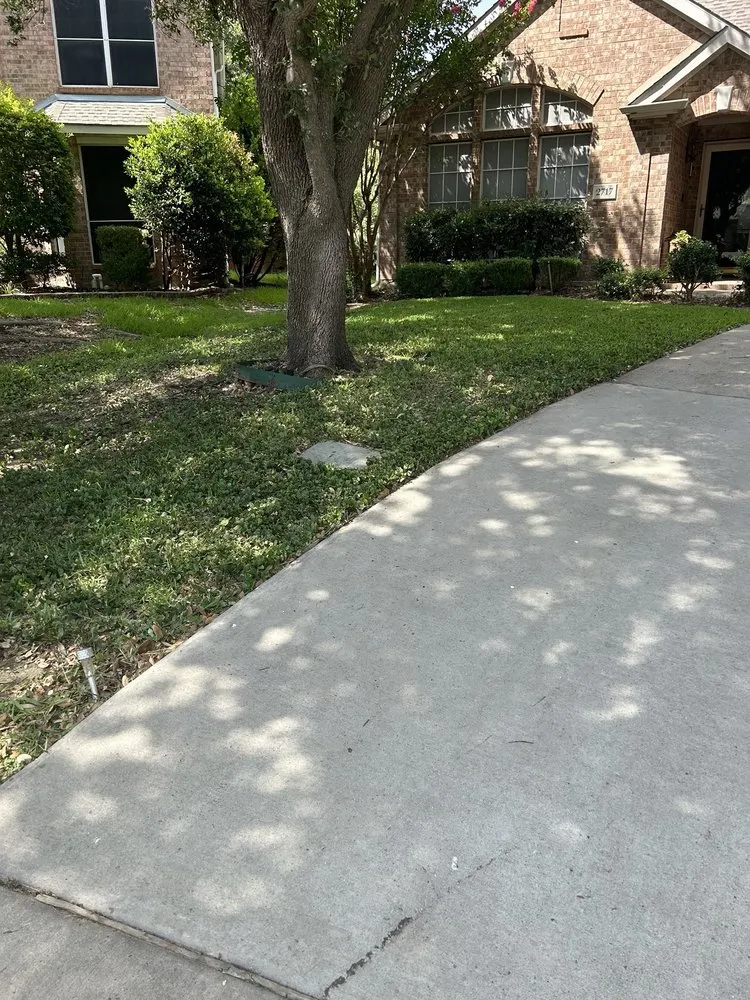 Professional landscape installation for year-round maintenance across Princeton, TX - Green Edge Lawn Care