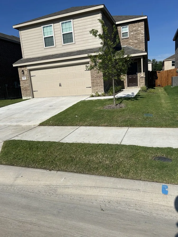 Custom yard cleanup service in Princeton, TX - Green Edge Lawn Care