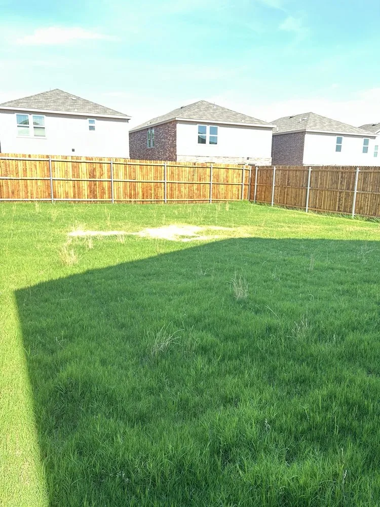 Expert landscaping services with custom design across Princeton, TX - Green Edge Lawn Care