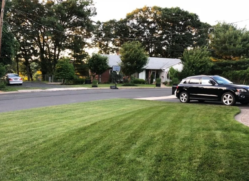 Custom yard maintenance in Seattle, WA by Green Edge Mowers