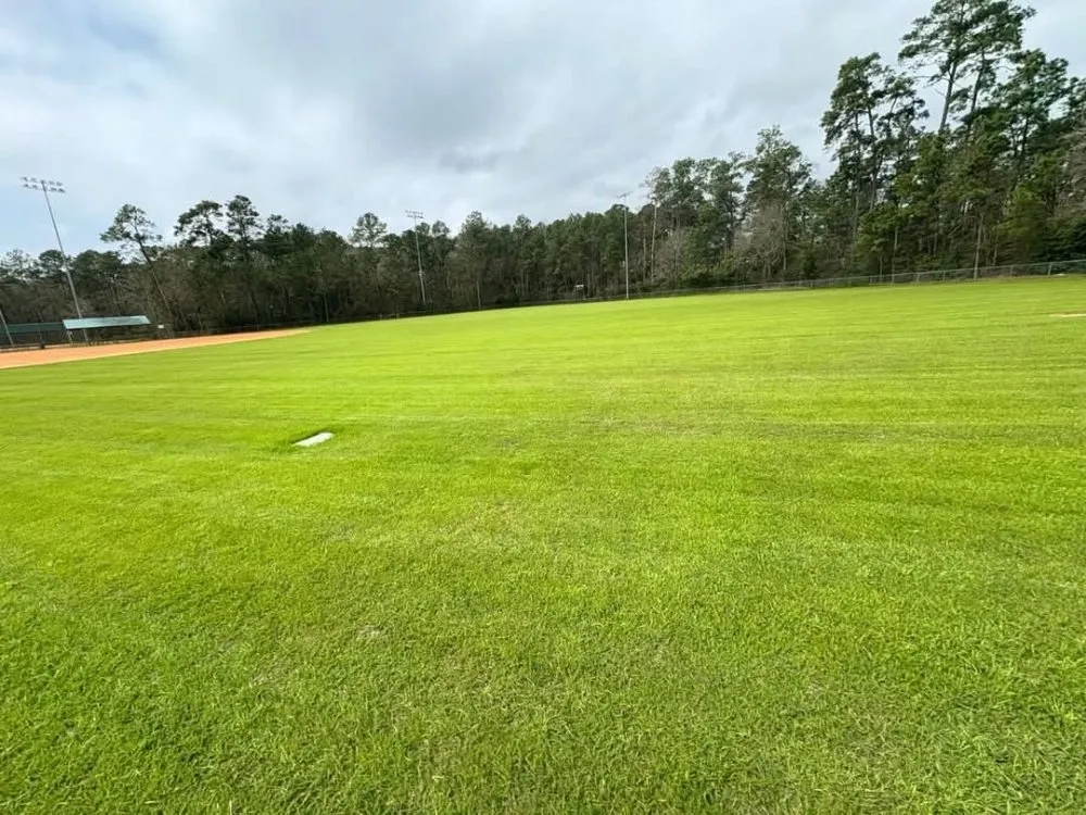 Affordable landscaping services for beautiful yards across West Seneca, NY - Green Edge Mowing & Snowplowing Services