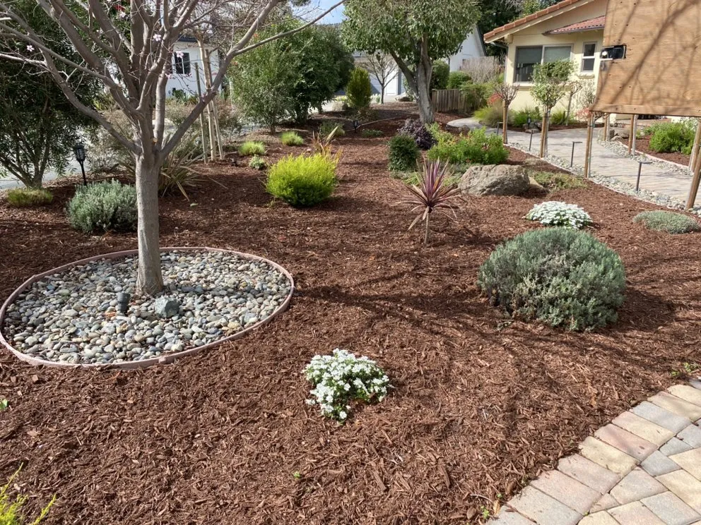 Trusted garden landscaping experts serving San Jose, CA - Green Edge
