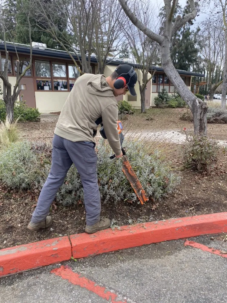 Reliable yard maintenance in San Jose, CA - Green Edge