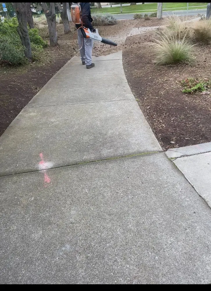 Professional yard maintenance for outdoor upgrades in San Jose, CA by Green Edge