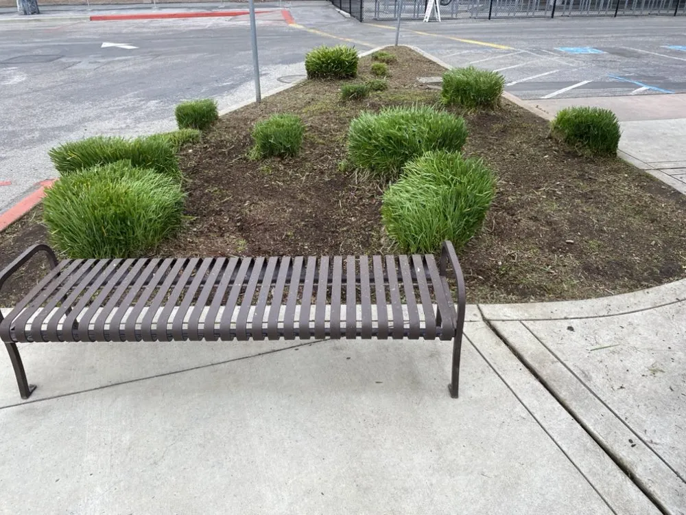 Top-rated landscape installation with custom design in San Jose, CA by Green Edge