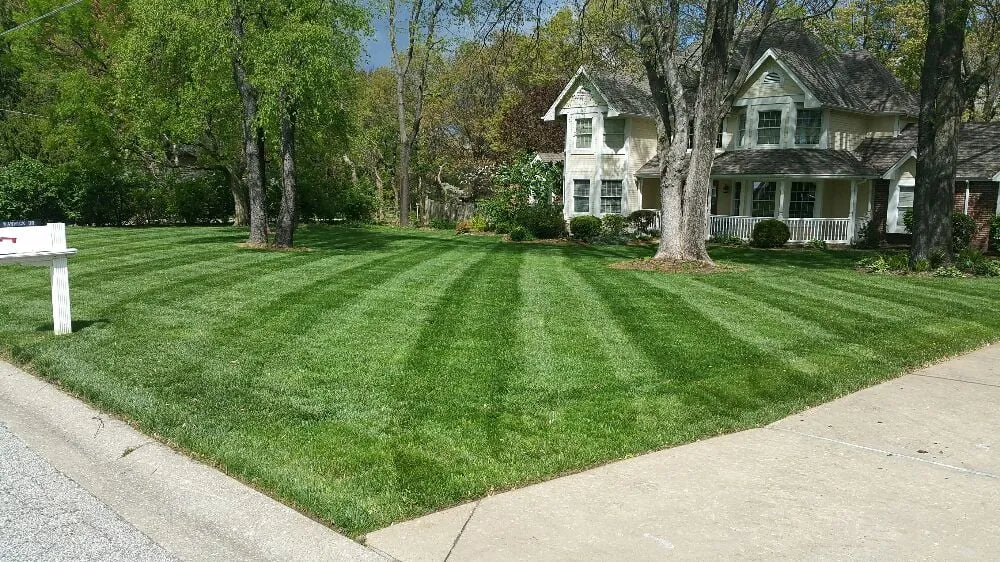 Local lawn care service experts serving Moscow Mills, MO - Green Elements
