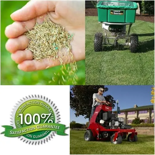 Professional yard cleanup service for year-round maintenance across Moscow Mills, MO - Green Elements