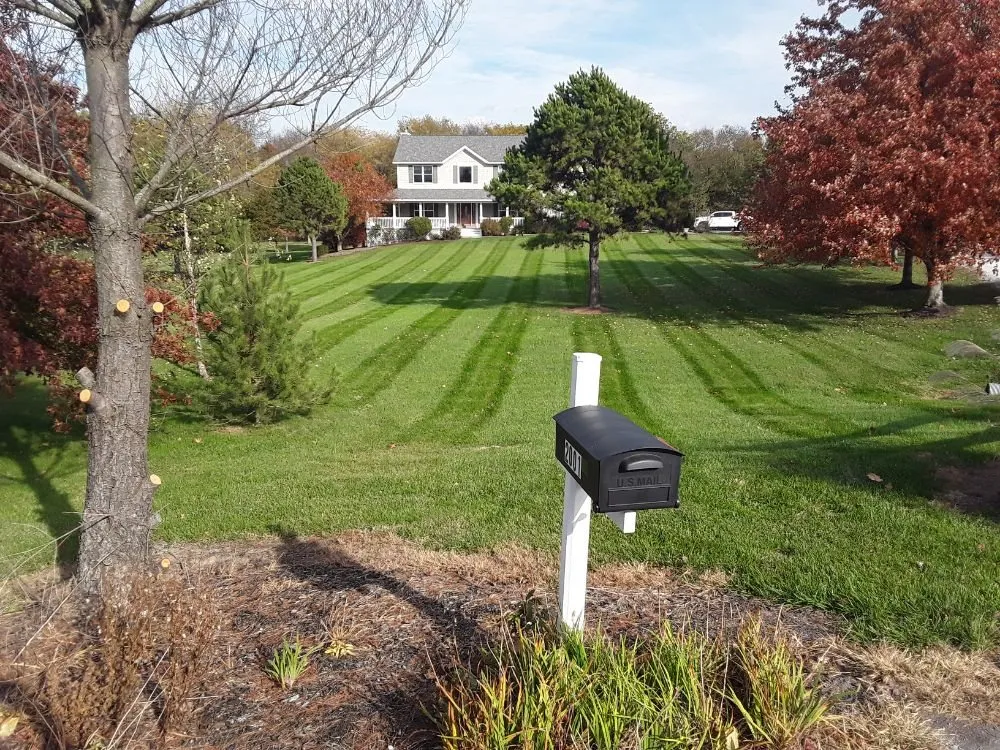 Custom yard maintenance for year-round maintenance across Moscow Mills, MO - Green Elements