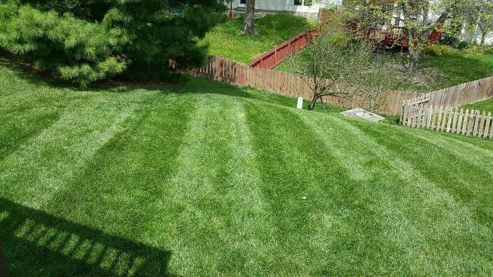 Reliable lawn mowing service for outdoor upgrades in Moscow Mills, MO by Green Elements