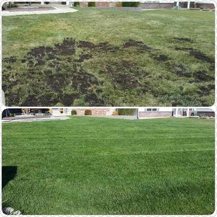 Reliable yard maintenance experts serving Moscow Mills, MO - Green Elements