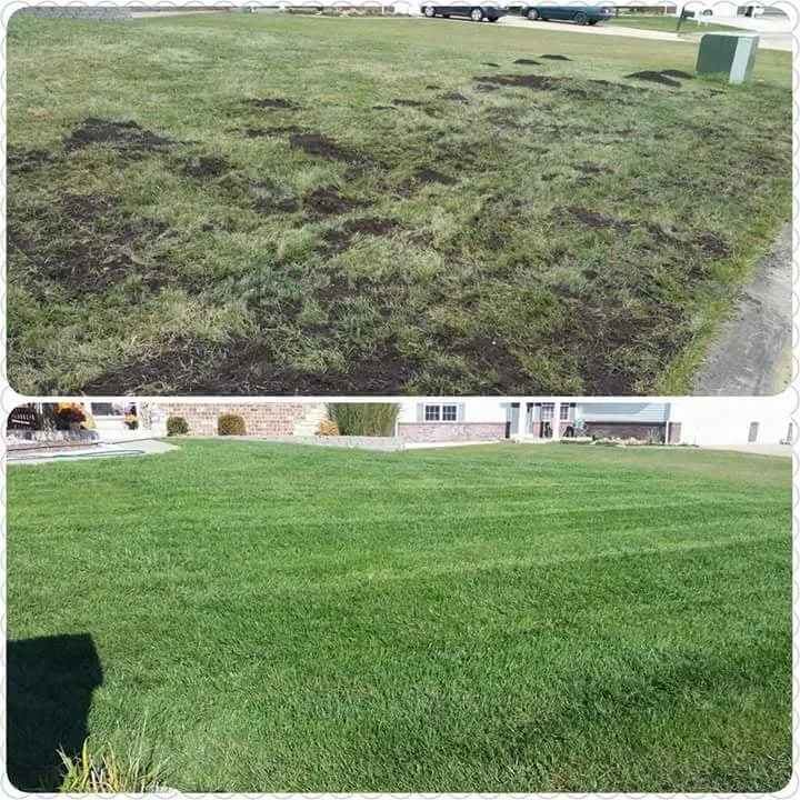 Trusted lawn mowing service in Moscow Mills, MO by Green Elements