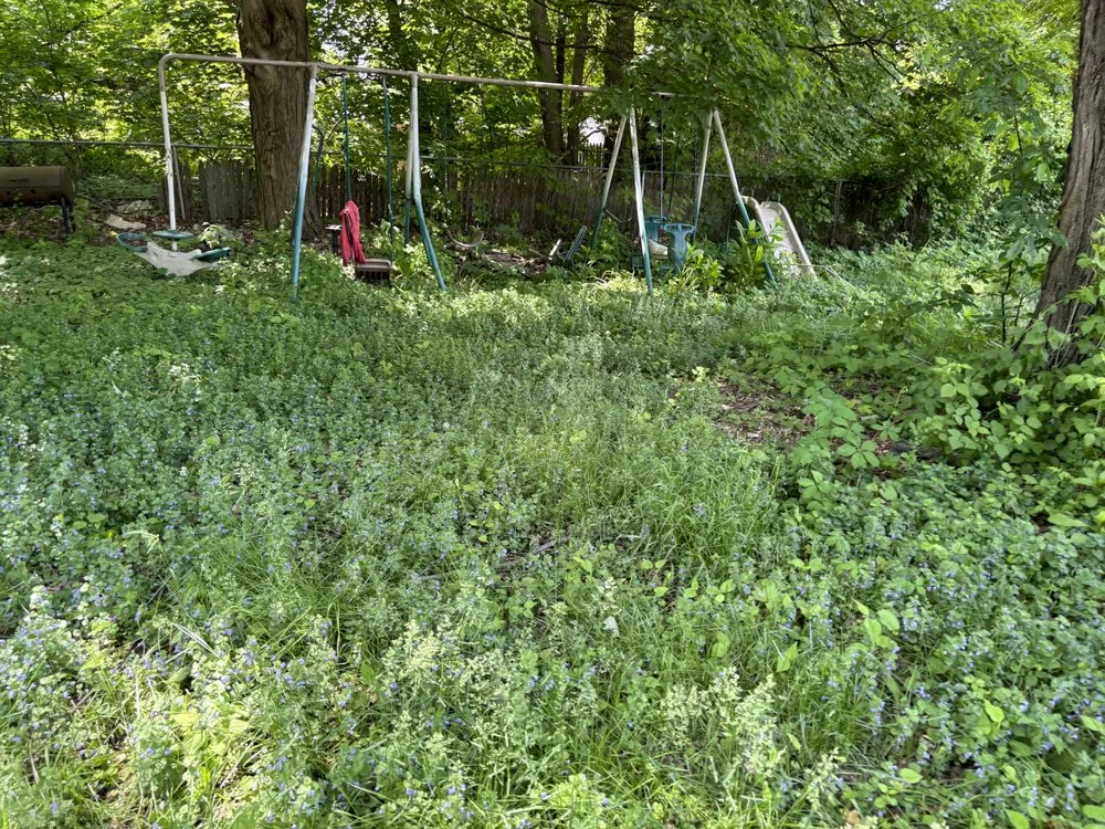 Expert landscape installation experts serving Fort Edward, NY - Green Elite Property