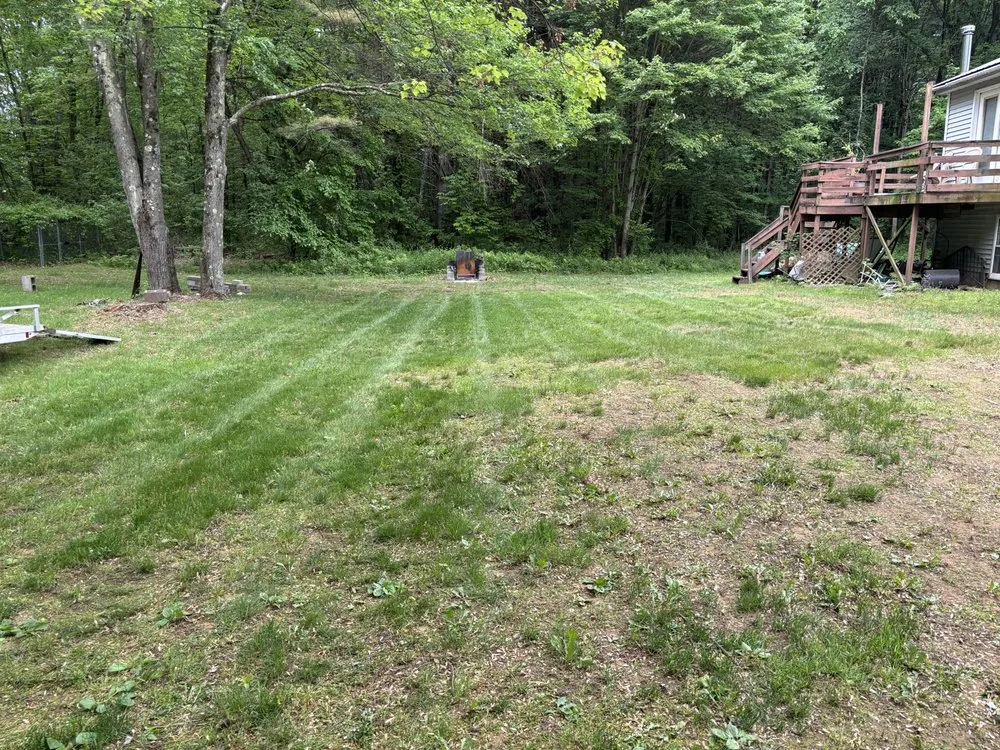 Professional yard cleanup service in Fort Edward, NY - Green Elite Property