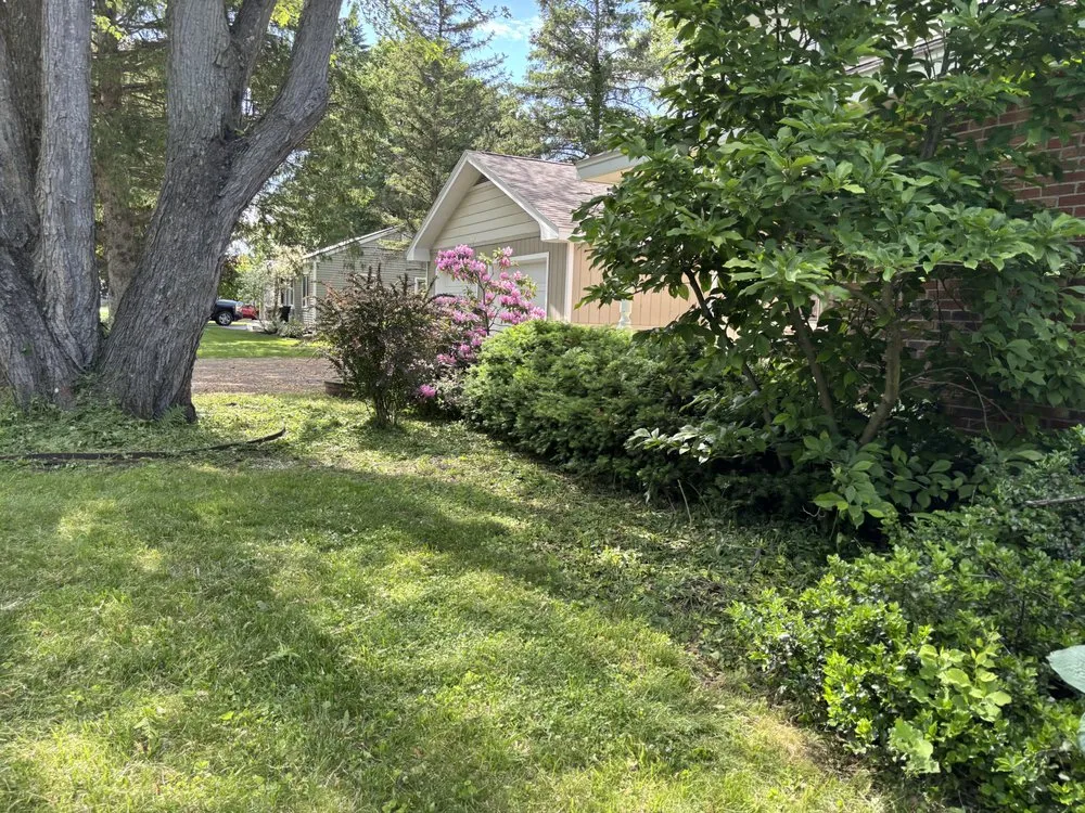 Top-rated landscaping services in Fort Edward, NY - Green Elite Property