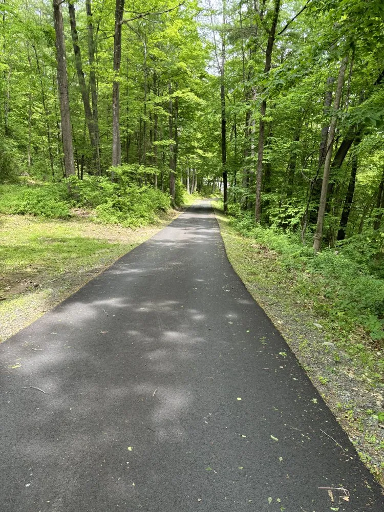 Local landscape installation in Fort Edward, NY by Green Elite Property