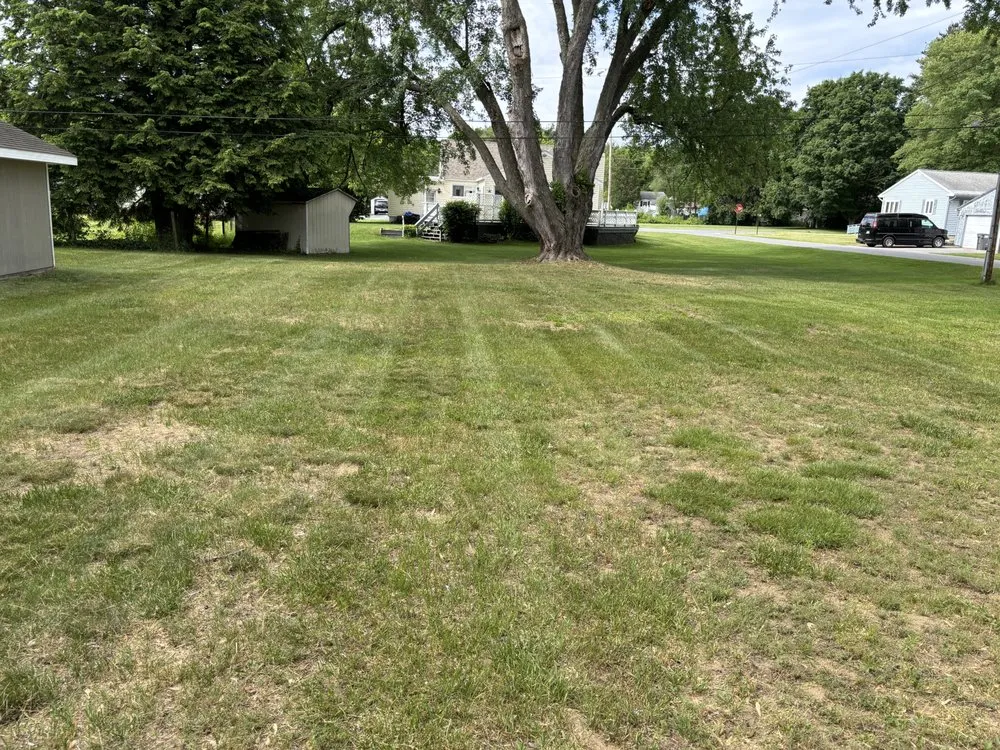 Professional residential landscaping for residential properties in Fort Edward, NY by Green Elite Property