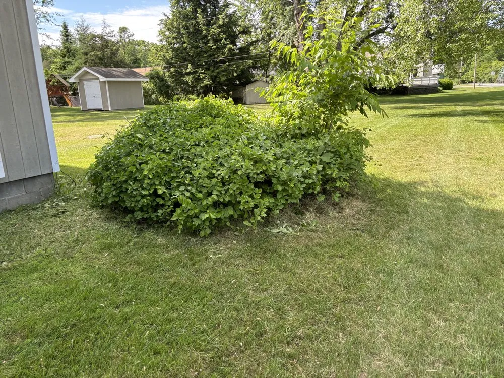 Reliable lawn mowing service for year-round maintenance in Fort Edward, NY by Green Elite Property