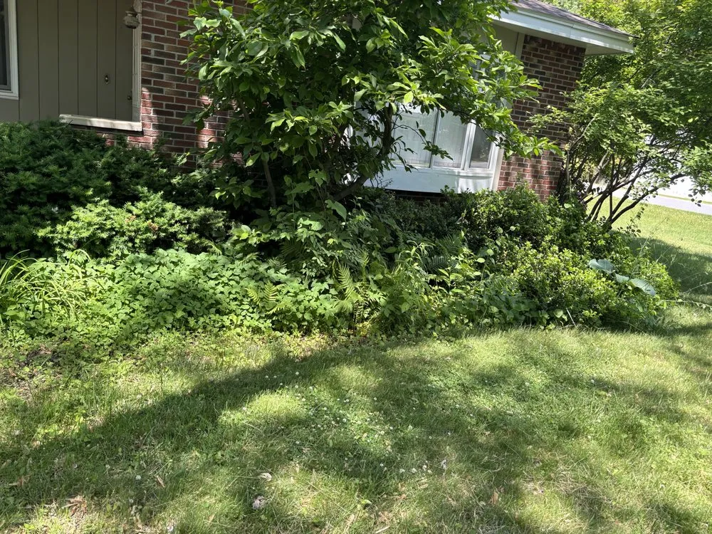 Local lawn care service for residential properties across Fort Edward, NY - Green Elite Property