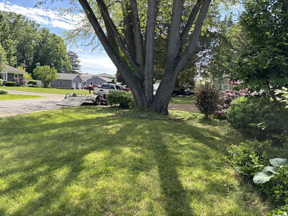 Professional garden landscaping in Fort Edward, NY by Green Elite Property