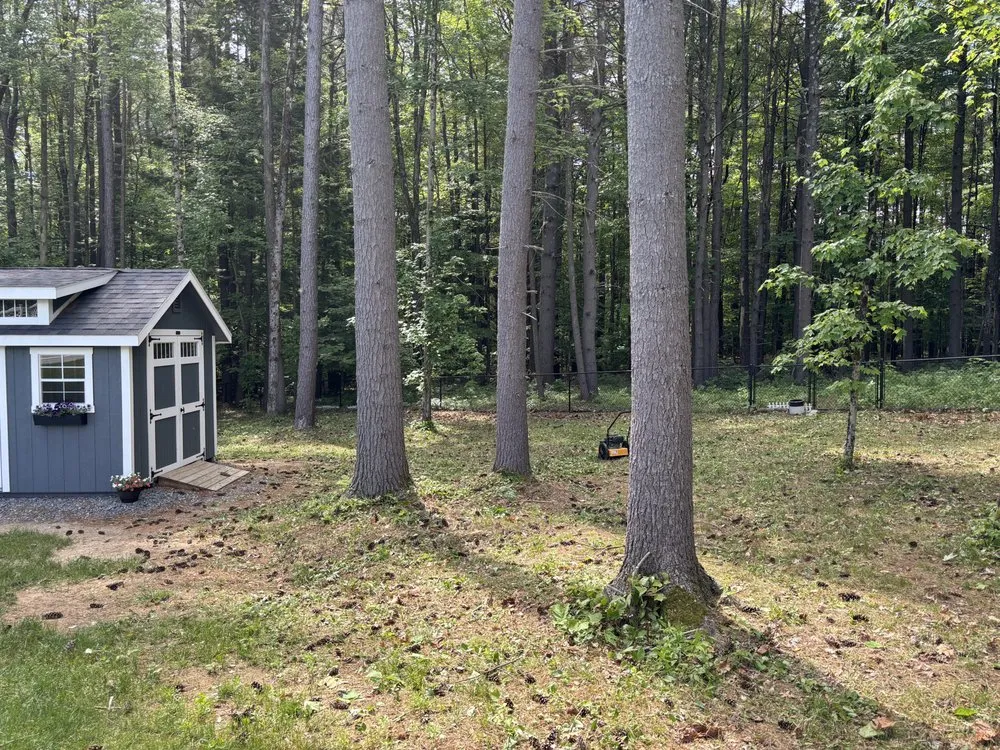 Expert yard maintenance in Fort Edward, NY - Green Elite Property