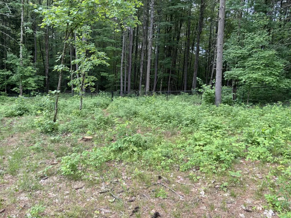 Top-rated landscape installation in Fort Edward, NY - Green Elite Property