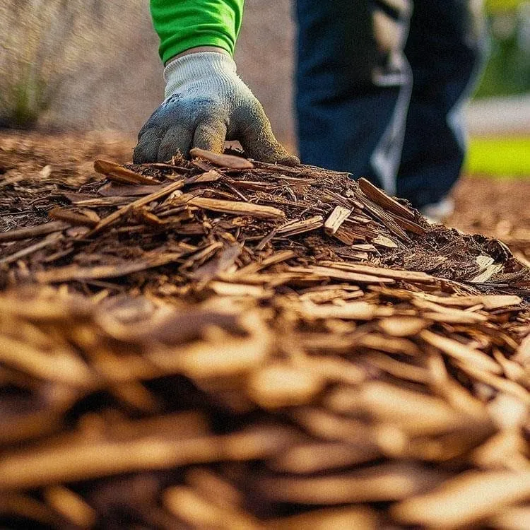 Reliable yard cleanup service experts serving Carrollton, TX - Green Empire Landscaping