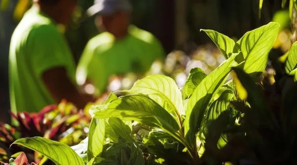 Green Empire Landscaping