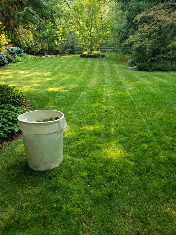 Reliable landscape installation for homes in Medford, OR by Green Empire Lawncare
