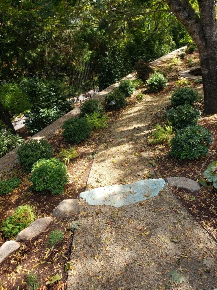 Affordable landscaping services for residential properties in Medford, OR by Green Empire Lawncare