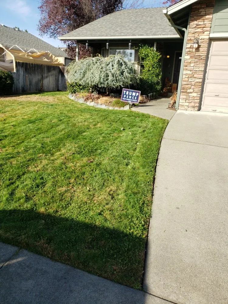 Expert yard maintenance in Medford, OR - Green Empire Lawncare