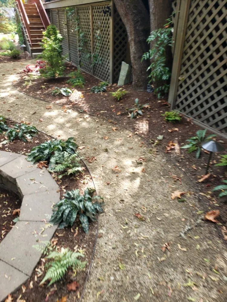 Trusted yard maintenance in Medford, OR - Green Empire Lawncare