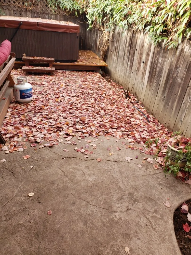 Affordable lawn mowing service in Medford, OR - Green Empire Lawncare