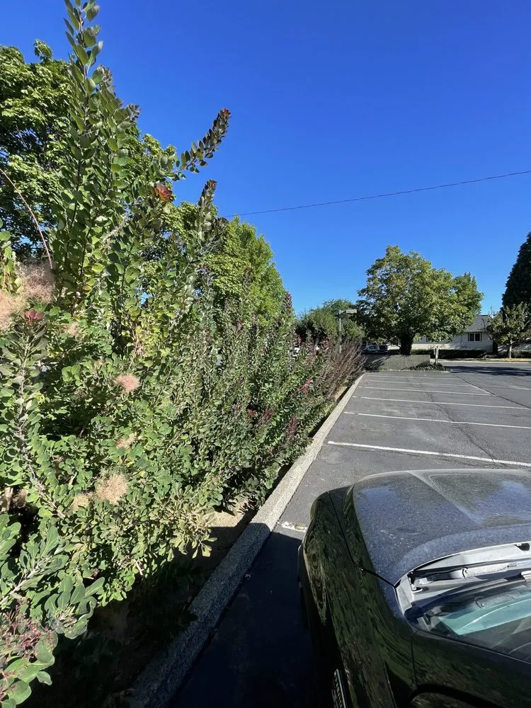 Custom landscape design for year-round maintenance in Wapato, WA by Green Empire