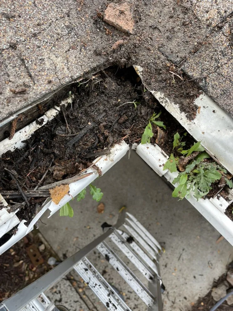 Trusted landscaping services experts serving Wapato, WA - Green Empire