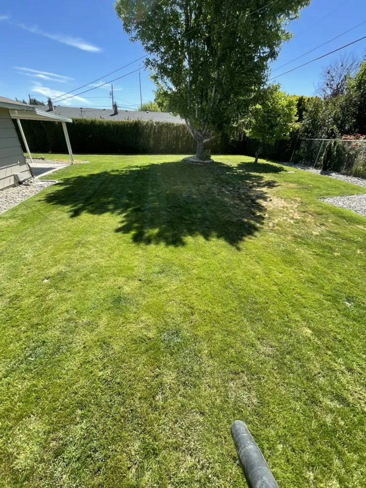 Custom lawn mowing service in Wapato, WA by Green Empire