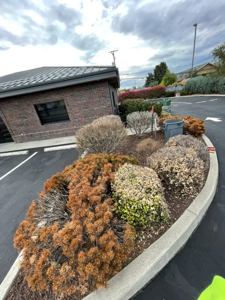 Custom yard maintenance in Wapato, WA - Green Empire