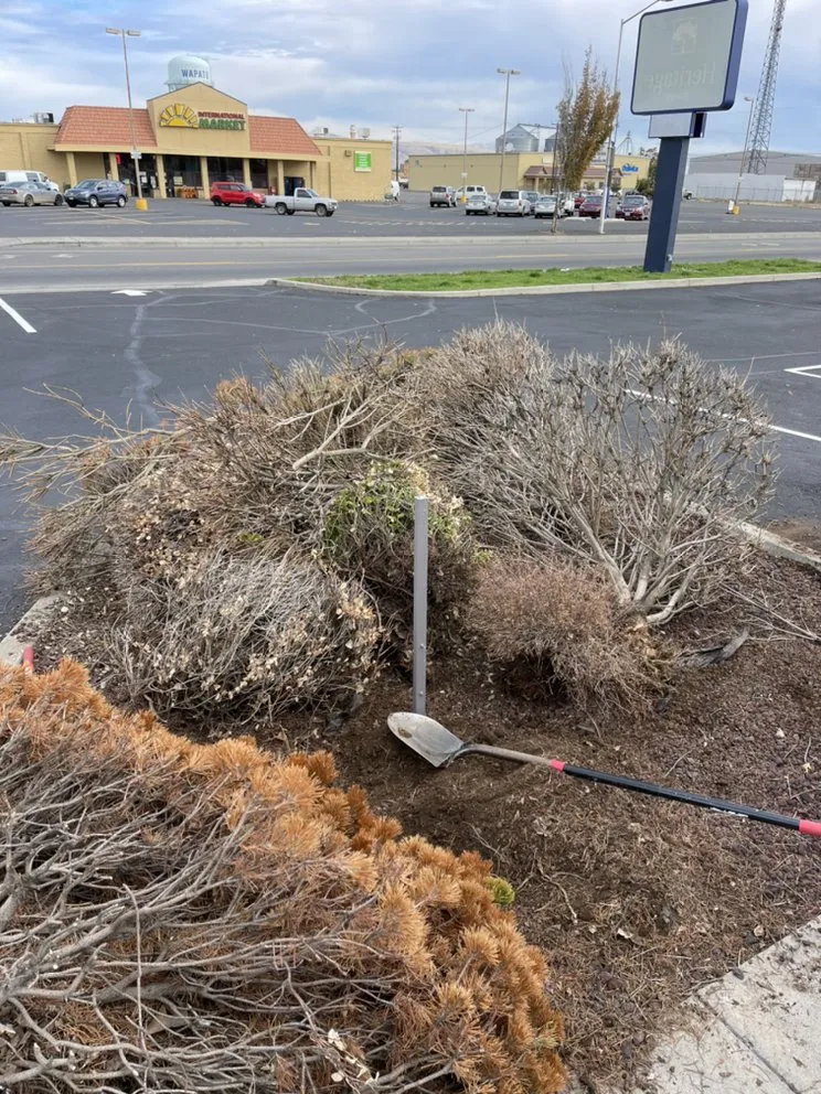 Expert lawn care service for beautiful yards across Wapato, WA - Green Empire