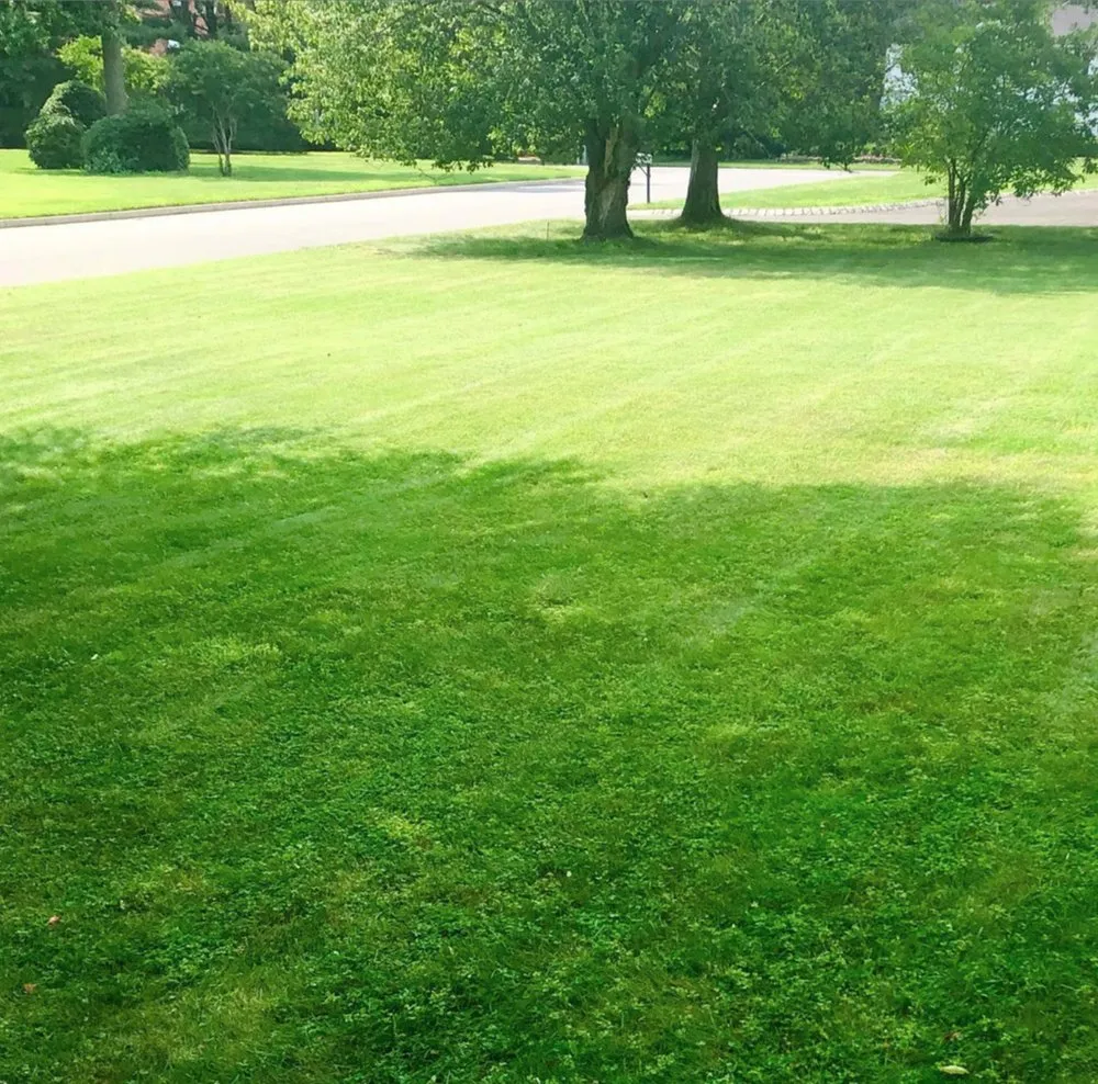 Expert landscape design experts serving Holmdel, NJ - Green Energy Lawn