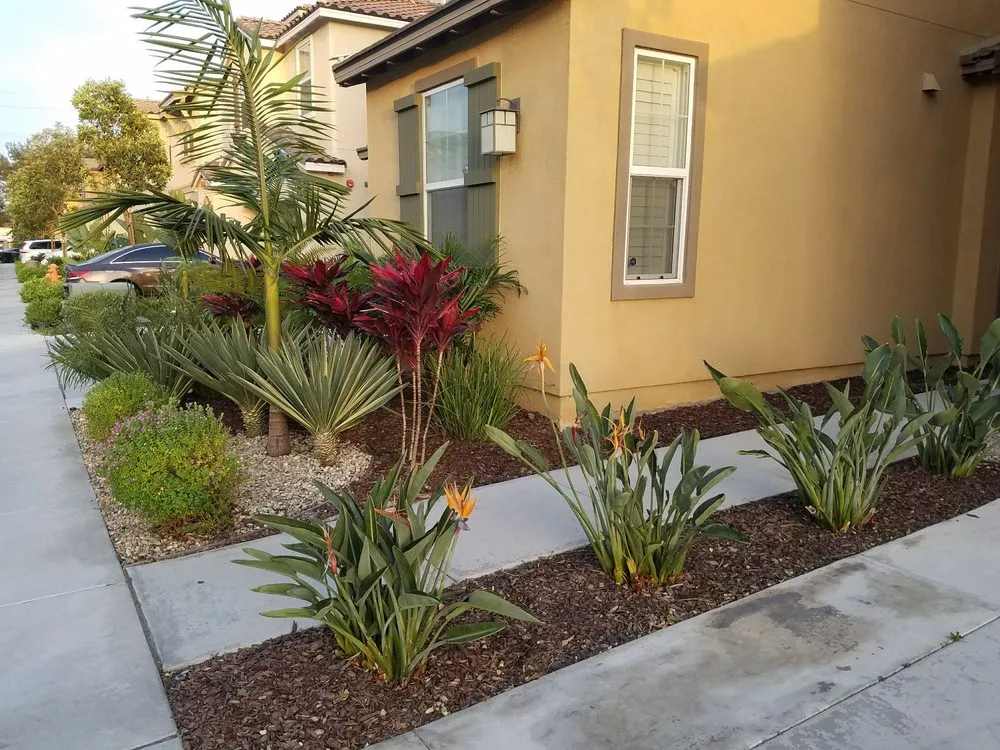 Affordable lawn mowing service in Fountain Valley, CA - Green Environment Land care