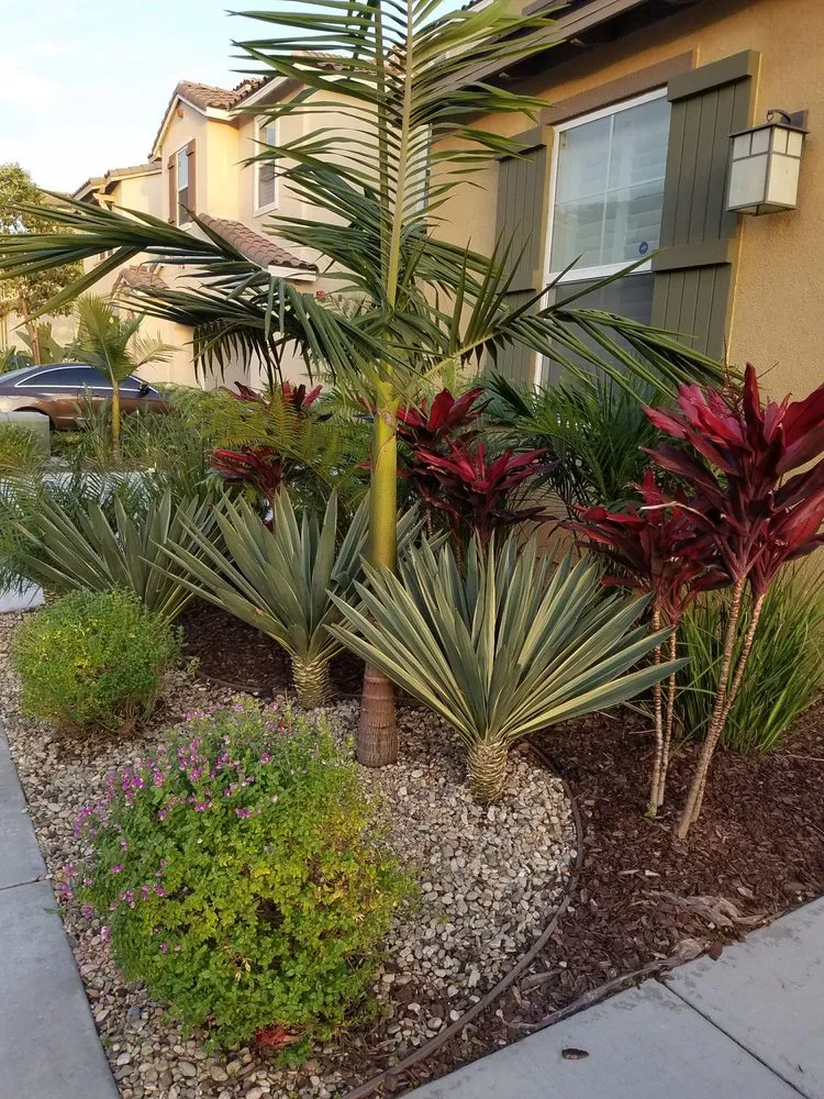 Top-rated landscape installation experts serving Fountain Valley, CA - Green Environment Land care