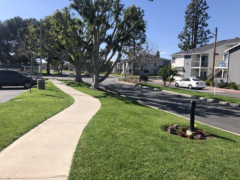 Local landscaping services for beautiful yards in Fountain Valley, CA by Green Environment Land care
